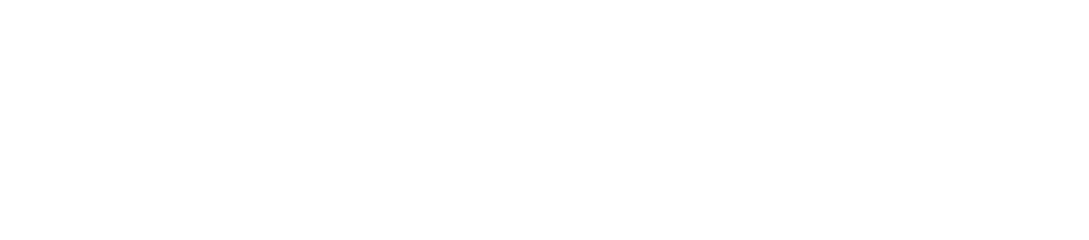 Dynamic Fitness & Strength logo